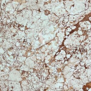 Rosalia Pink Italian Marble