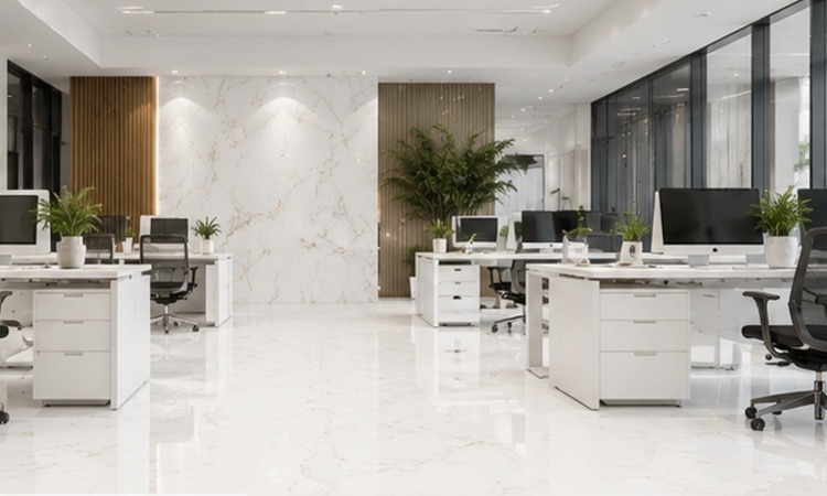 Corporate Setup
